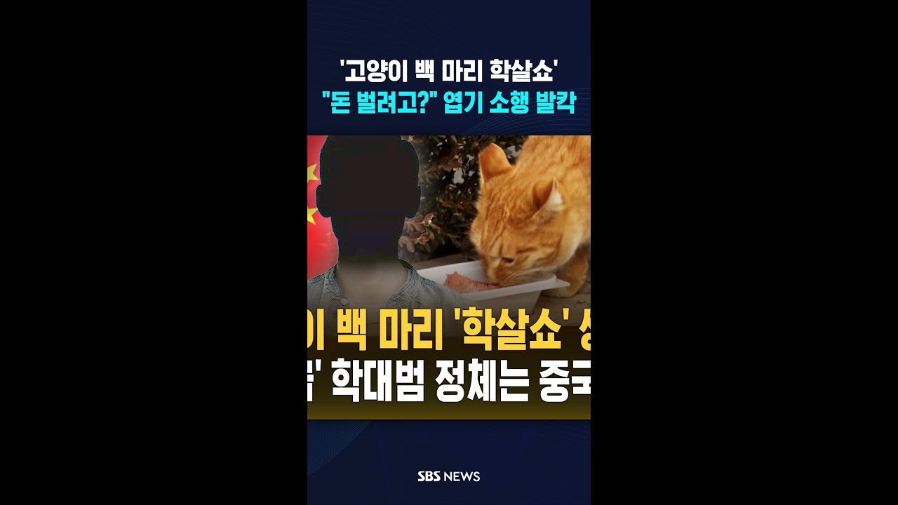 '고양이 백 마리 학살쇼'..