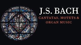 J.S. Bach: Cantatas, Motets & Organ Music