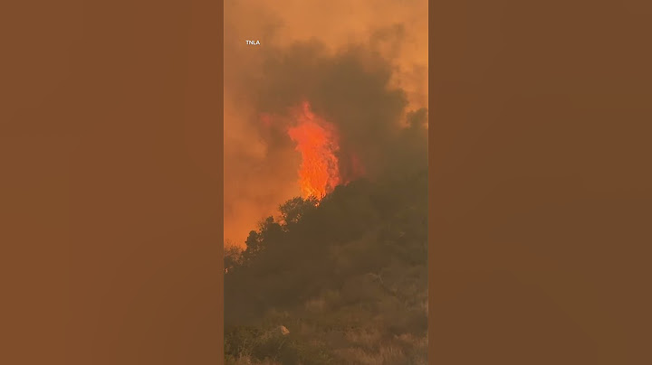 Firefighters scramble to corral fast-moving wildfire in Pacific Palisades