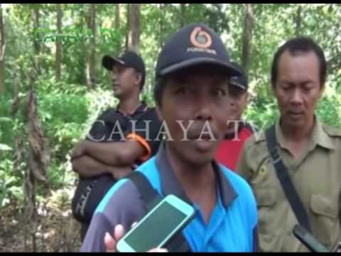 Situs Memorabilia dan Ingatan Sejarah Genosida Politik 1965-1966 (Kuburan Massal Plumbon, Wonosobo, Masean, ‘Jembatan Bacem’)