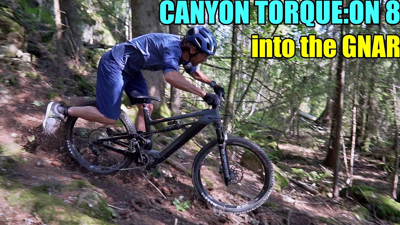 fahrrad canyon torque es8 26 zoll