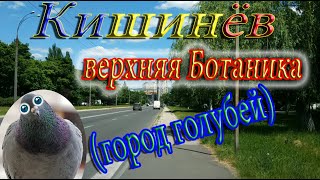 Кишинев верхняя Ботаника