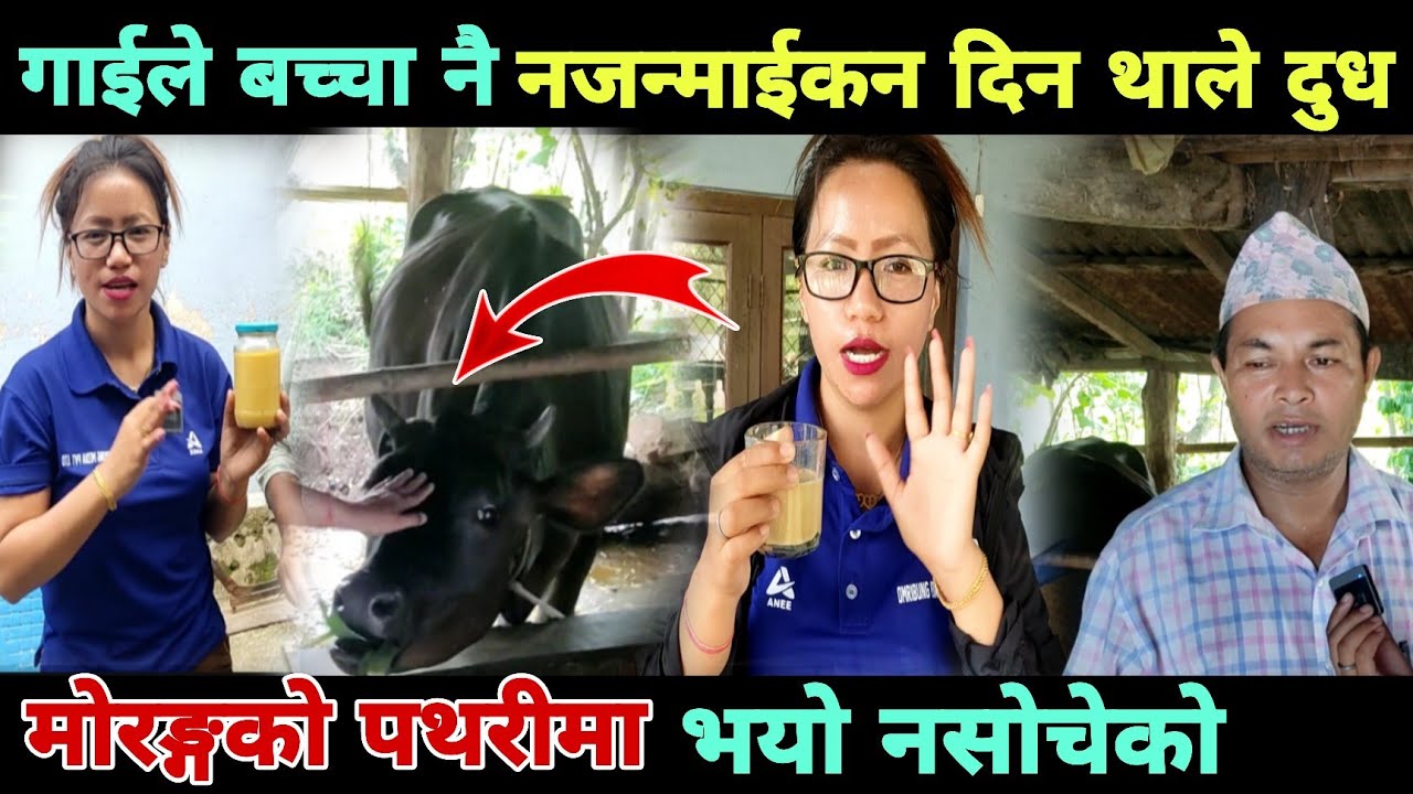 Pakistan Pathari pathari news.. माेरङ्गकाे पथरीमा अचम्मै भयाे - YouTube