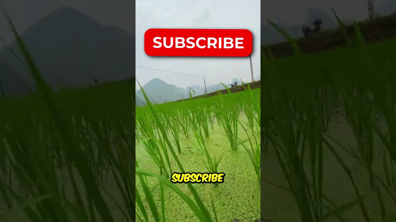 iPhone under the water 😱