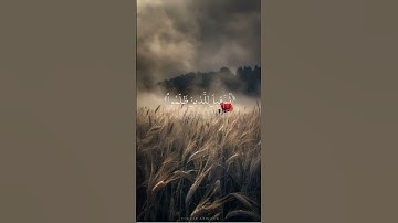 آلْآنَ وَقَدْ كُنتُم بِهِ تَسْتَعْجِلُونَ || القارئ عبد الرحمن مسعد