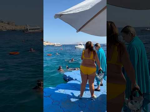 Акулы на ПЛЯЖАХ