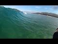 The PRETTIEST Morning Surf at Torrey Pines | Dolphins, Pelicans &amp; a Micro Crab
