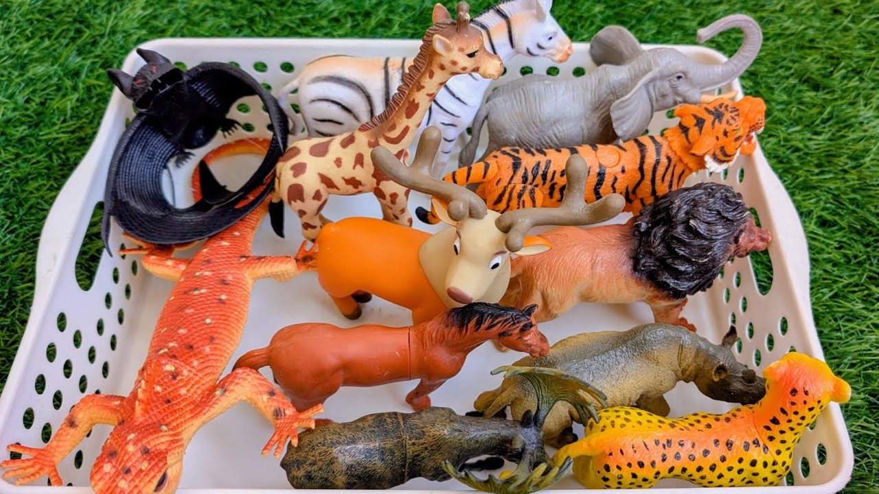 Kids Love This Wild Animals Surprise Basket! | Names & Sounds for Preschoolers