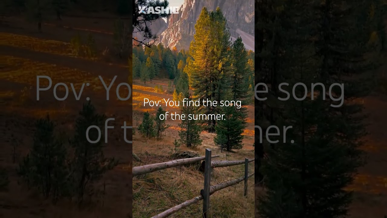 New music. What vibe is this?