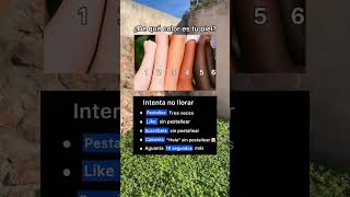 Te Salió Alguna Lágrima?