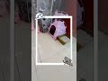 My Melody - Kucing Kakak Bilqis #kiten #catlovers  #tidur #kucingindonesia #kucingimut