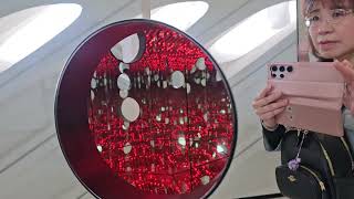 The Broad Museum
