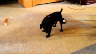 Thelmareiningpattern