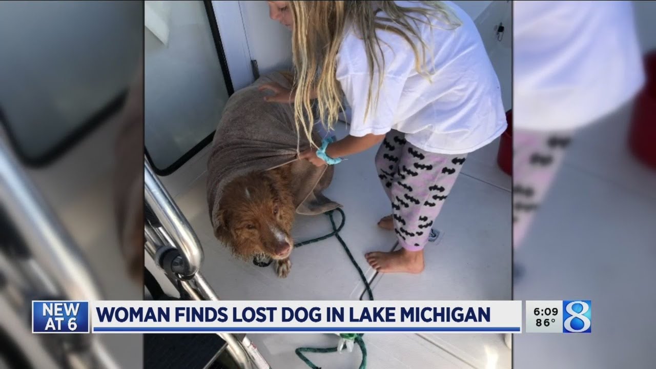 Woman finds lost dog in Lake Michigan