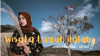 Viral !!! WISATA TAMAN ILALANG LOMBOK BARAT