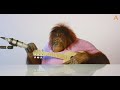 Animalia's Orangutan Rambo is a musical genius ASMR