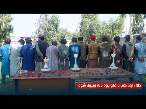 جلال اباد کې د غلو یوه ډله نیول شوې
