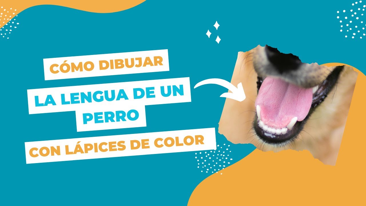 ¿Cómo dibujar la lengua de un perro con lápices de color? - YouTube