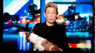 Women Saves Her Own Dog From A Stafford Terrier Attack