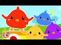 Pintinho Colorido - Música Infantil | Fonfon e Loro