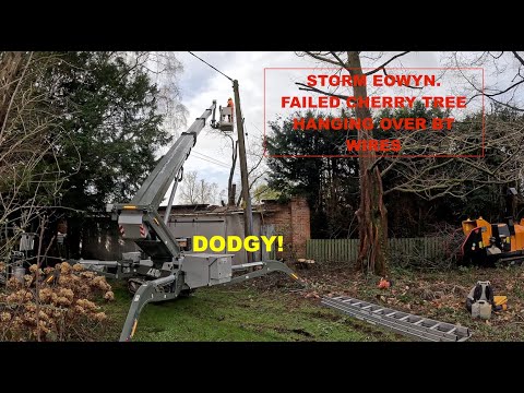 REMOVING A FALLEN CHERRY TREE LEANING ON A LISTED WALL - YouTube