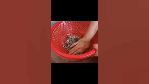 Hoa chuối nấu ốc : Rửa ốc #buacomgiadinh #cooking