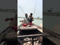 Amazing Hook Fishing on the Padma River#fishing #riverfishing #hooksfishing