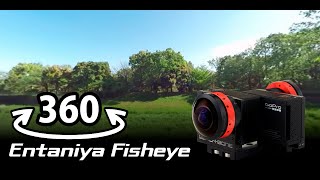 360 VR:Tachikawa Showa Kinen Park Birds:Entaniya Fisheye 250 for 1/2.3 360 VR:Tachikawa Showa Kinen Park Birds:Entaniya Fisheye 250 for 1/2.3