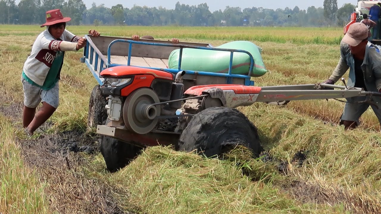 Good tractors for working in deep mud Tractors transport rice from