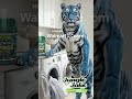 Tough Stain? Meet Your Match | Jungle Jake Cleaner Degreaser