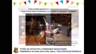Детям о цирке - детская презентация Детям о цирке - детская презентация
