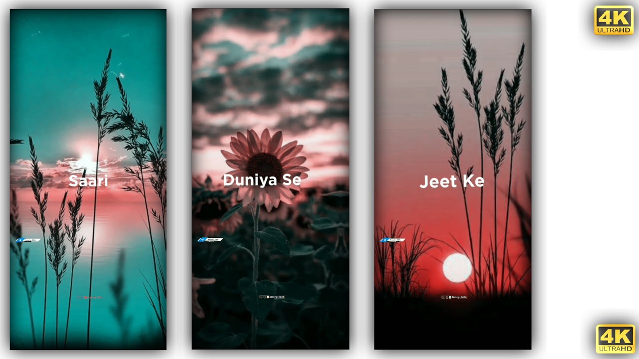 Saari Duniya Se Jeet Ke Status // Instagram Reels Trending Status // Ansariya Edits...