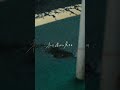 私達に夜明けは無い / | La nuit | #Lanuit #オリジナル曲 #私達に夜明けは無い #バンド #邦ロック #mv