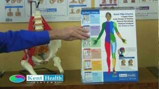 Kent Flip Chart | 6 Charts in 1 | Trigger Point | Joint Range of Motion | Posture