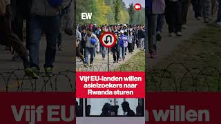 Thumbnail for Deze vijf EU-landen willen asielzoekers naar Rwanda sturen