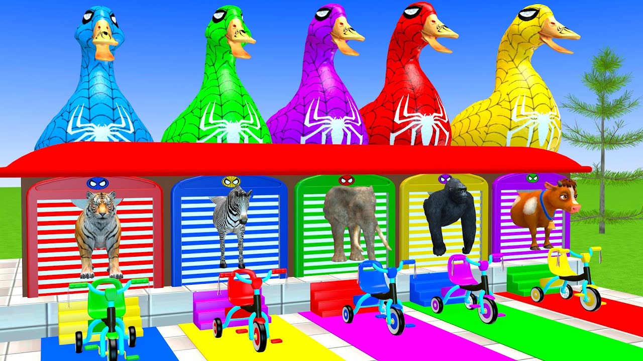 Long Slide Game With Elephant Tiger Zebra Gorilla Cow 3d Animal Cage Game Funny 3d Animals