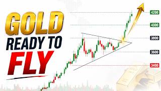 Gold Bulls Are Back | Weekly GOLD Analysis Aug 03 to Aug 07 | Gold Ready for a New All-Time High | screenshot 3