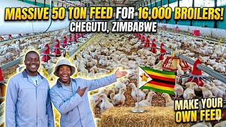 The Secret Of Making Your Own Livestock Feed|| Zimbabwe 🇿🇼