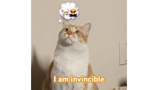 Full Pawsitive Vibes Only 🐾 Update