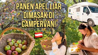 PANEN APEL LIAR LANGSUNG DIOLAH DI CAMPERVAN #37