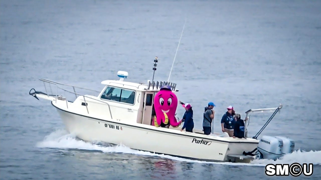 𝗣𝗜𝗡𝗞 𝗪𝗔𝗩𝗘𝗦: Researchers Dye Santa Monica Bay to Track Ocean Currents