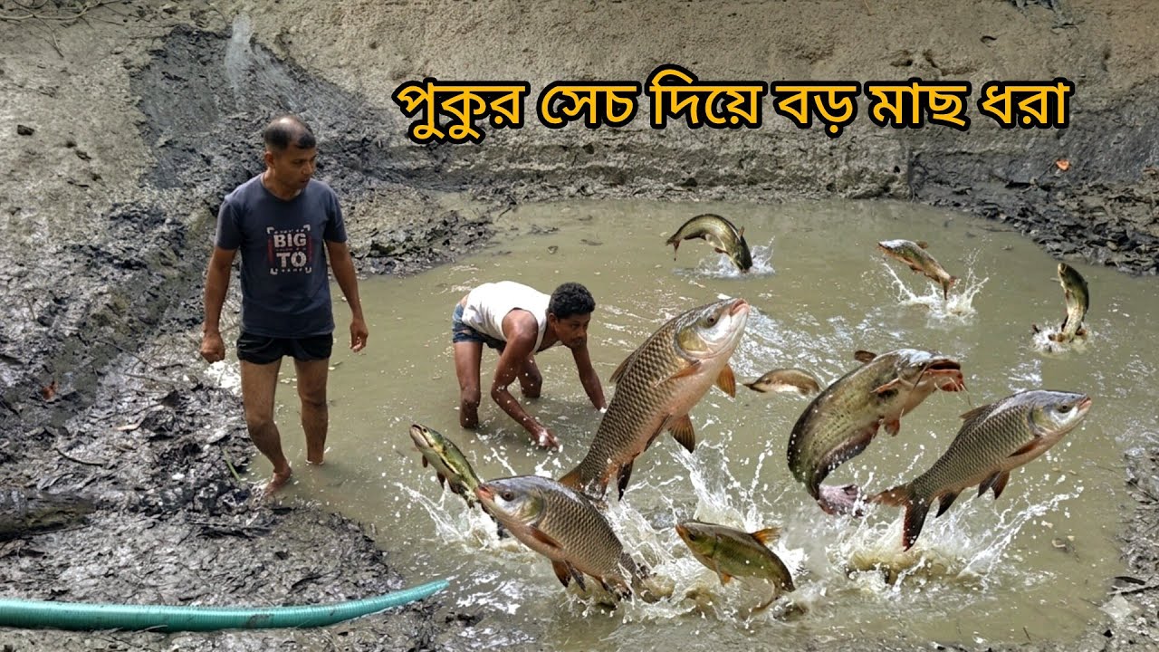 Unbelievable Fishing! Draining the Village Pond to Catch Big Fish - YouTube