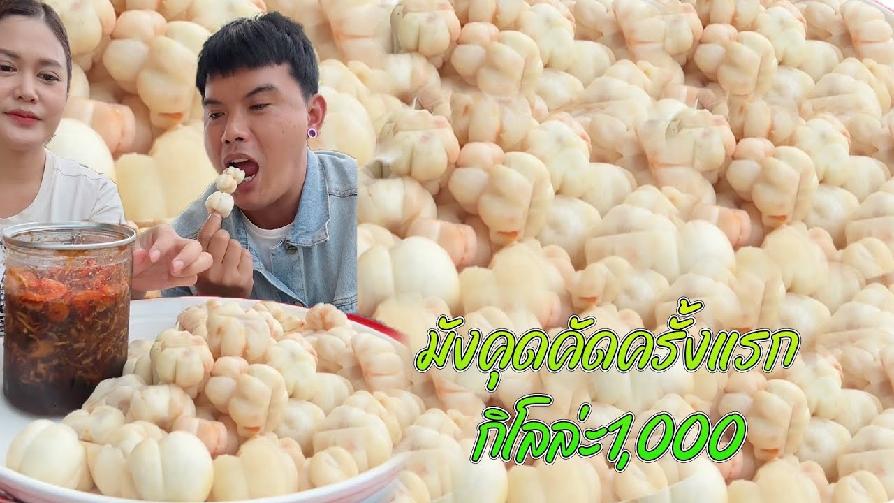 มังคุดคัดนครศรีธรรมราชครั้งแรก ใครเคยทานบ้างค่ะ