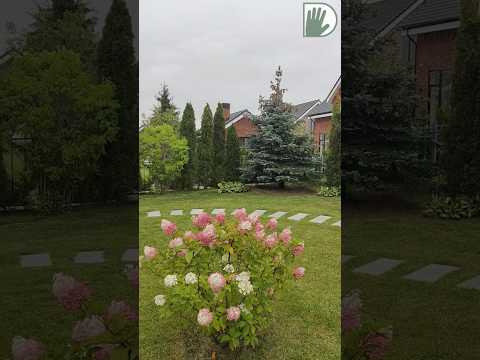 Видео: Garden Treasure Decor - Декоративное искусство для дома и сада