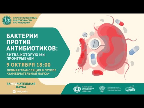 Бактерии против антибиотиков: битва, которую мы проигрываем