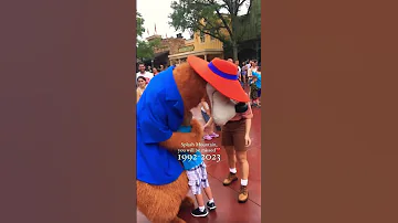 ¿Qué edad es adecuada para Splash Mountain?