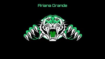 Tiger ae avee player template