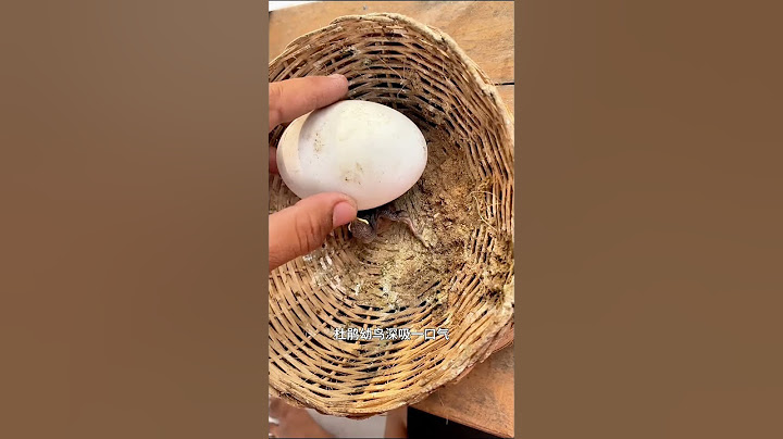 杜鹃鸟幼鸟为什么会推蛋这么坏？换成别的东西也推吗？