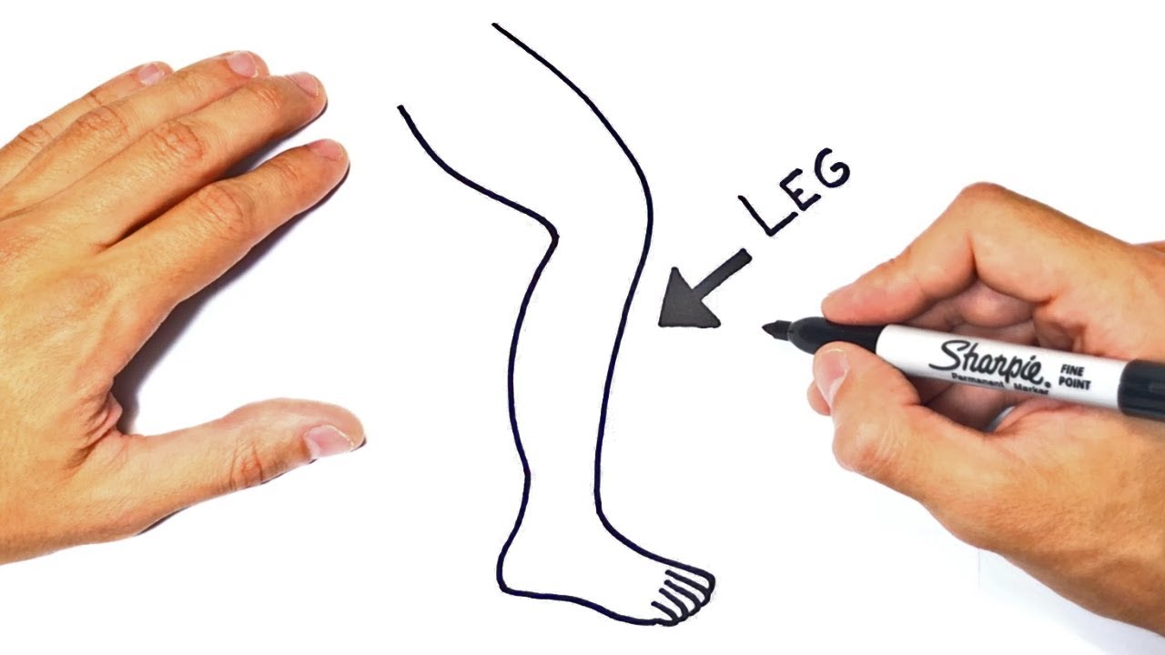 Legs Drawing For Kids