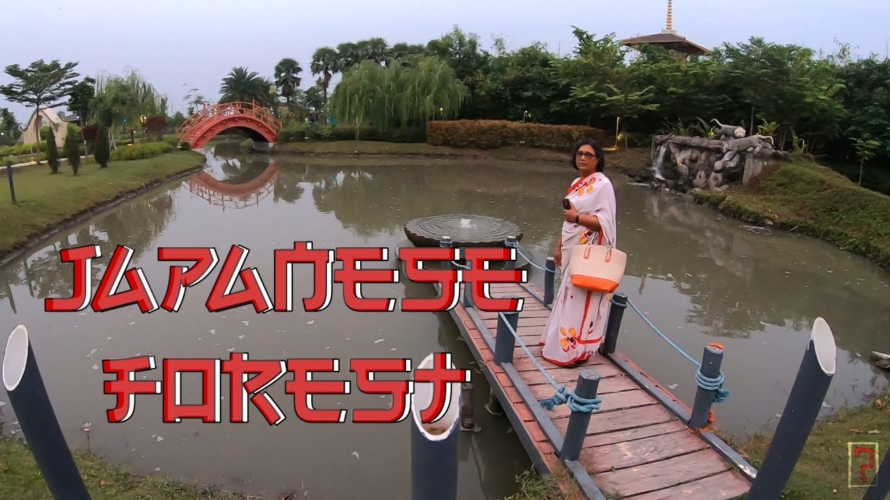 Japanese Forest | Eco Park | New Town | Kolkata